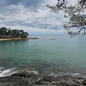 3* Hotel Grifeu